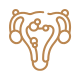 Nutrição no cuidado da endometriose Nutricionista Carol Freire